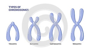 Vektor ilustrace chromozomy typy izolované na bílém pozadí 